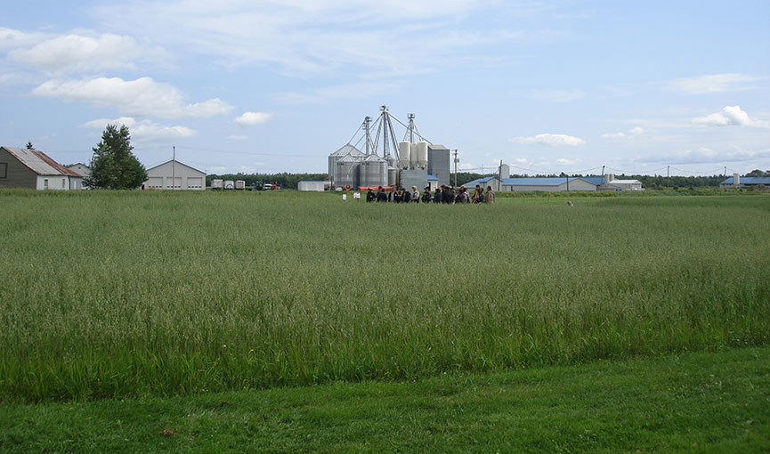 Experimental Farm Crop production SaintLambertdeLauzon IRDA