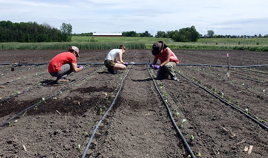 Agriculture biologique Pratiques agricoles IRDA